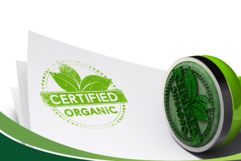 Chứng nhận xanh trong ngành in quan trọng như thế nào?